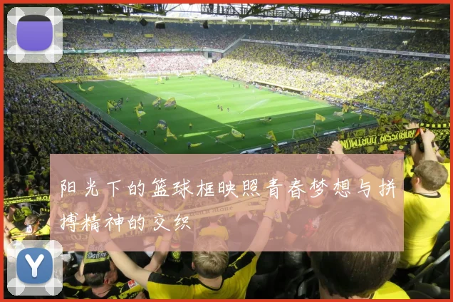 阳光下的篮球框映照青春梦想与拼搏精神的交织