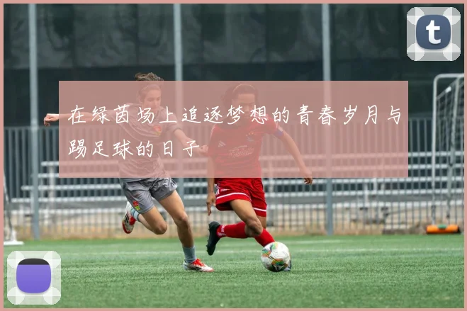 在绿茵场上追逐梦想的青春岁月与踢足球的日子